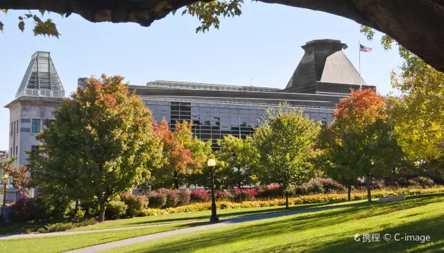 Maple Leaf Viewing in Ottawa