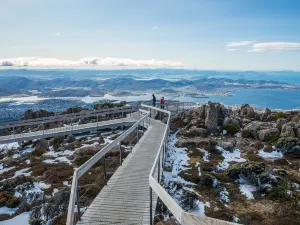 Mont Wellington