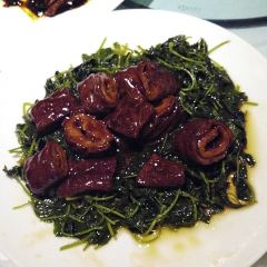 SHANGHAI CHIC User Photo