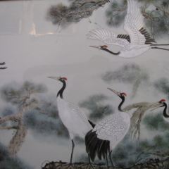 YAO HE SHAN LI CAI User Photo