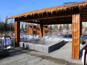 Wudalianchi Scenic Area Volcanic Magnetic Mineral Spring