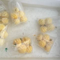 Patong Seafood User Photo