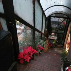 Antique Garden Shanghai User Photo