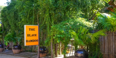 Black Bamboo 餐廳