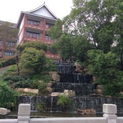 普陀山祥生大飯店·中餐廳張用戶圖片