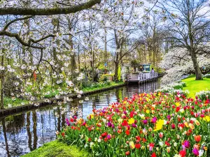 Popular Spring Outings in Amsterdam