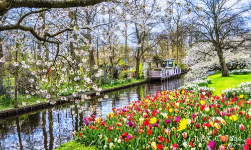 Hortus Botanicus Amsterdam