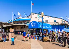 Aquarium of the Bay