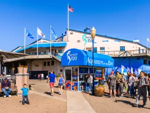 ベイ水族館