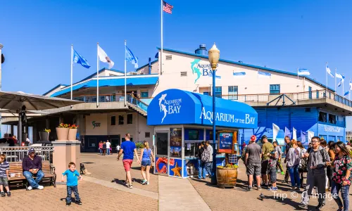 Aquarium of the Bay