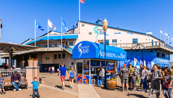 Aquarium of the Bay