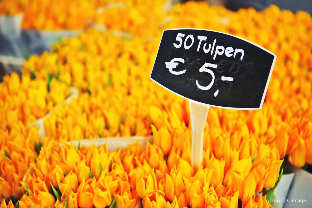 5_Singel Flower Market