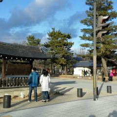 Kyoudon Kisoba Okakita User Photo