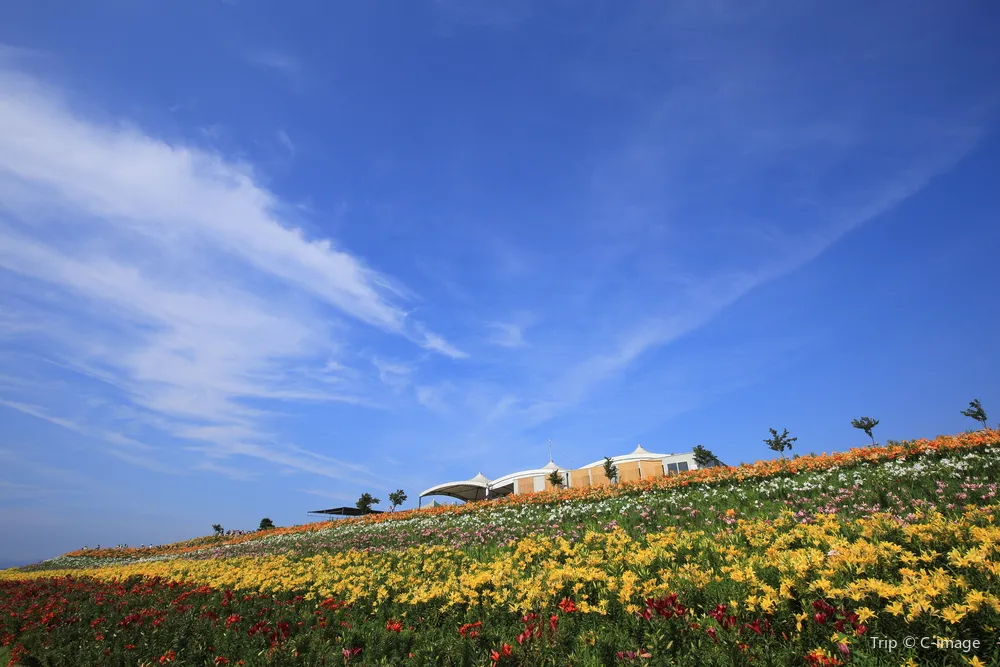 4_大阪舞洲百合園
