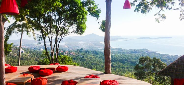 The Jungle Club Restaurant