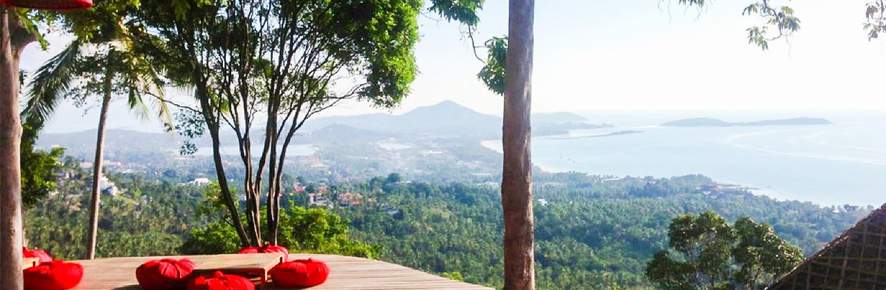 The Jungle Club Restaurant