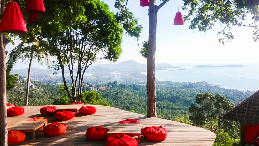 The Jungle Club Restaurant