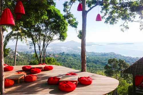 The Jungle Club Restaurant