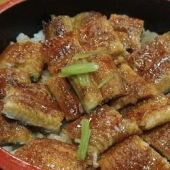 Honke Shibato User Photo