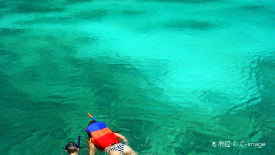 Phi Phi IslandsTours