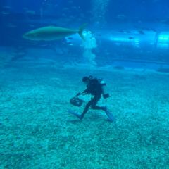 Ocean Blue User Photo