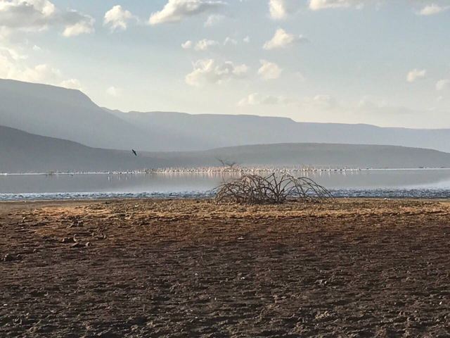Lake Bogoria