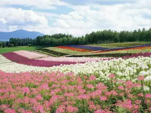 重慶忠縣天子山景區