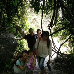 SHAN SHUI DOU FU HUA User Photo