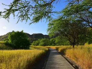 Diamond Head