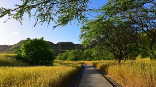 Diamond Head