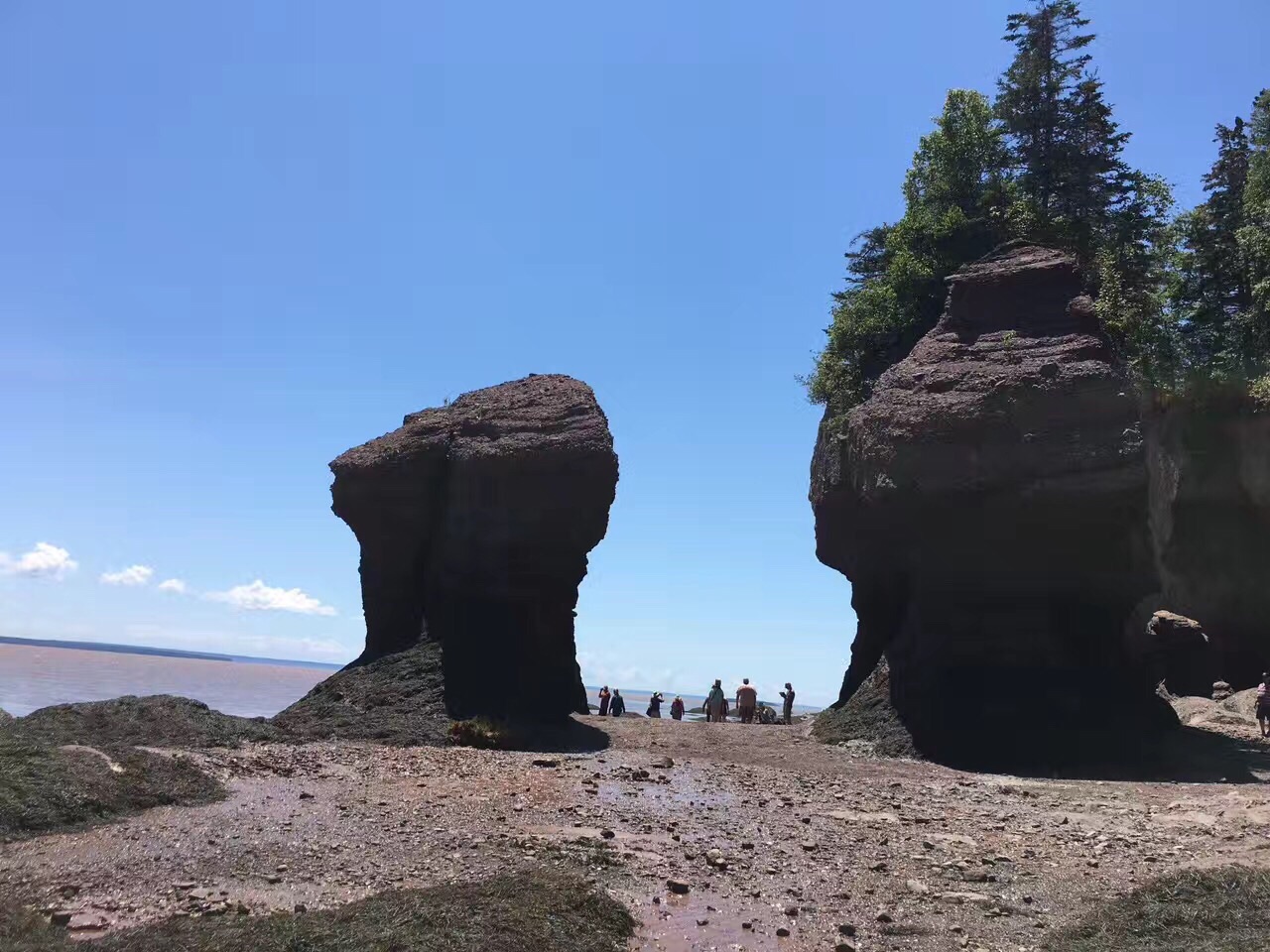 ファンディ湾のレビュー ファンディ湾のチケット ファンディ湾の割引 ファンディ湾の交通機関 所在地 営業時間 ファンディ湾周辺の観光スポット ホテル グルメ Trip Com ファンディ湾のレビュー ファンディ湾のチケット ファンディ湾の割引 ファンディ湾の交通機関 所在地 営業時間 ファンディ湾周辺の観光スポット ホテル グルメ Trip Com