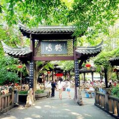 HEMING TEAHOUSE User Photo