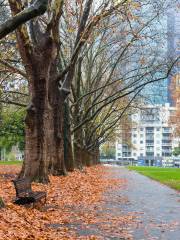 Carlton Gardens