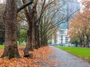 Carlton Gardens