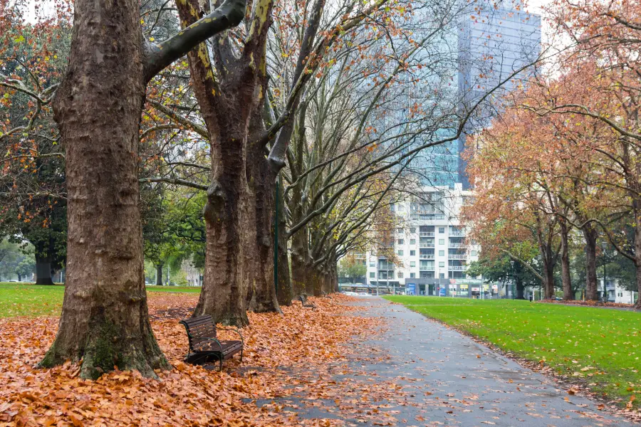 Carlton Gardens