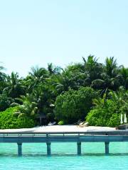 Medhufushi Island Resort