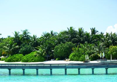 Medhufushi Island Resort