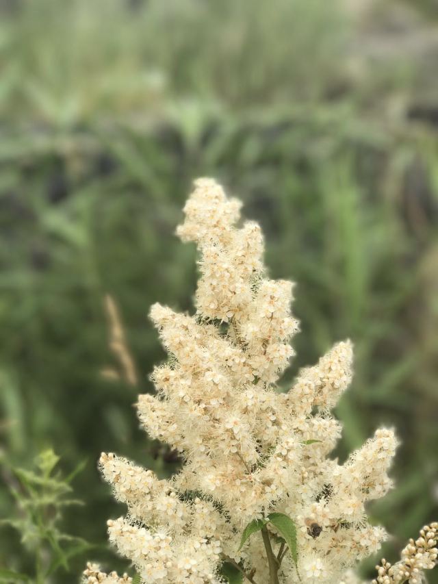 북약천