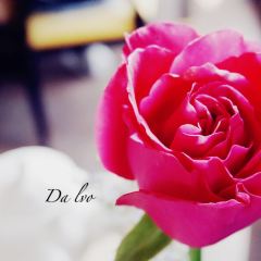 Da Ivo User Photo