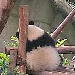 QIN SHAN ZHAI RESTAURANT User Photo