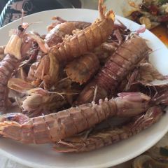 Shenhai Fishing Port User Photo