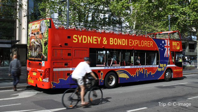 Blue Mountains Explorer Bus