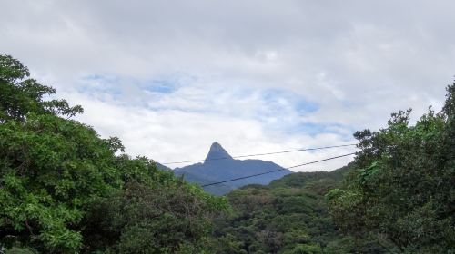 屋久島