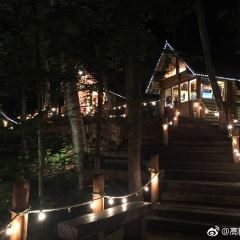 Kohi Morinotokei User Photo