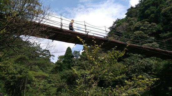 凤阳山自然保护区位于龙泉市，是以凤阳山为主体的自然保护区，区