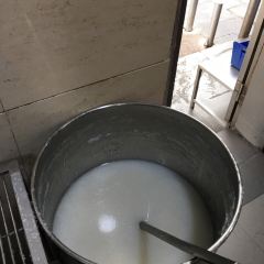 海天肠粉 User Photo