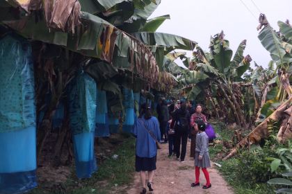 茶物语(茶马街店)