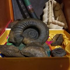 吉祥圣雪藏餐 User Photo