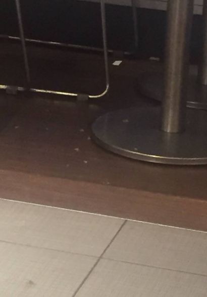 KEN DE JI LI LING CI CHENG DIAN