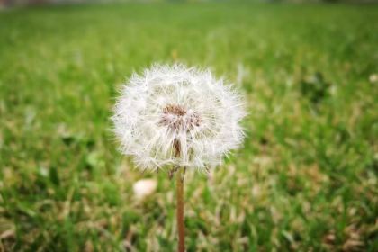 肯德基(馬鞍山八佰伴店)